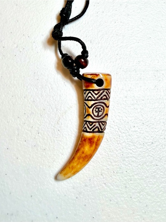 The Unbranded Brand Other - Artisan Horn Pendant Necklace.
